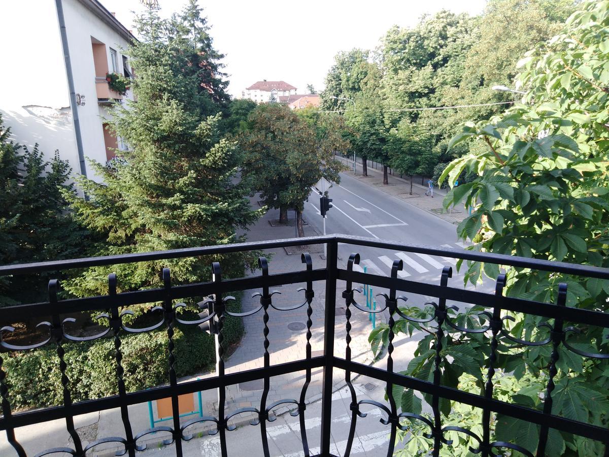 Villa Veliki Park Šabac Esterno foto