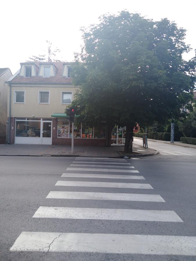 Villa Veliki Park Šabac Esterno foto