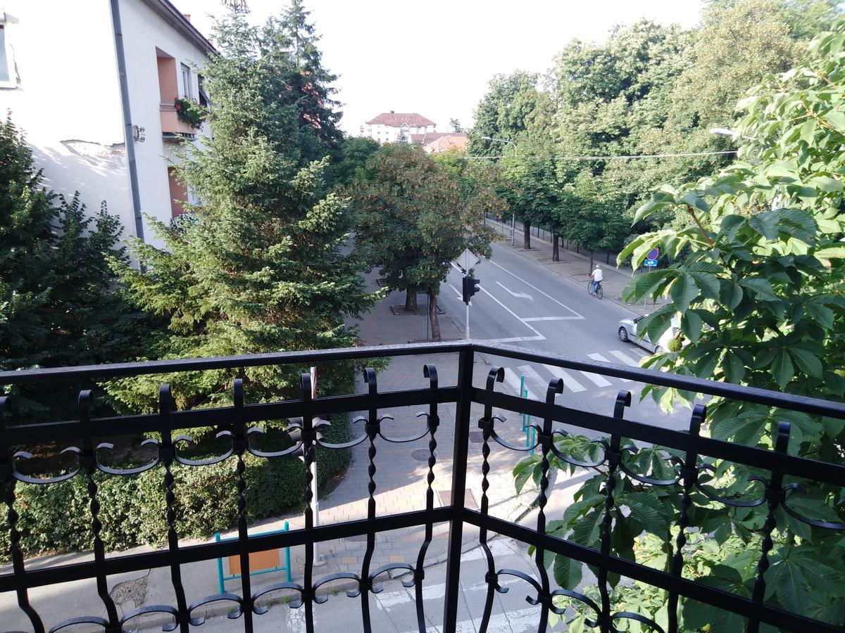 Villa Veliki Park Šabac Esterno foto