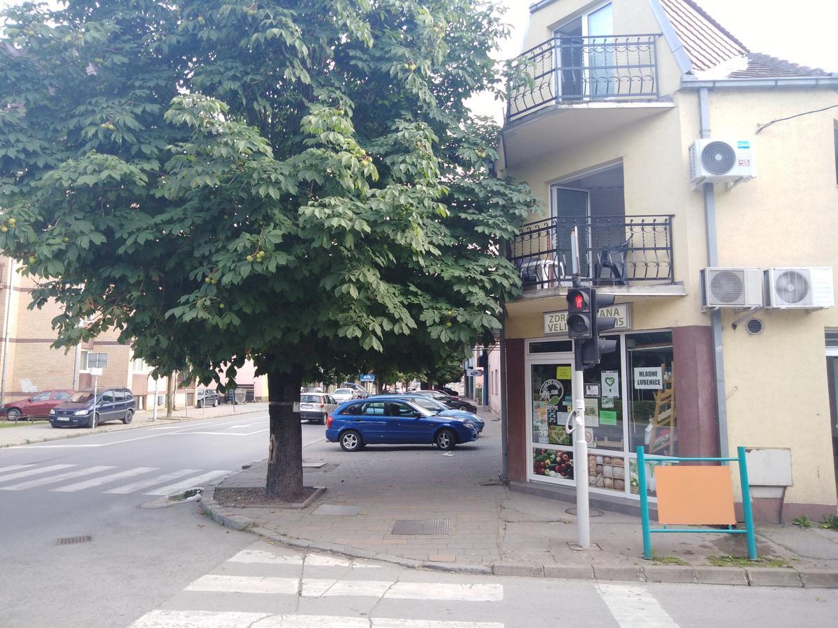 Villa Veliki Park Šabac Esterno foto